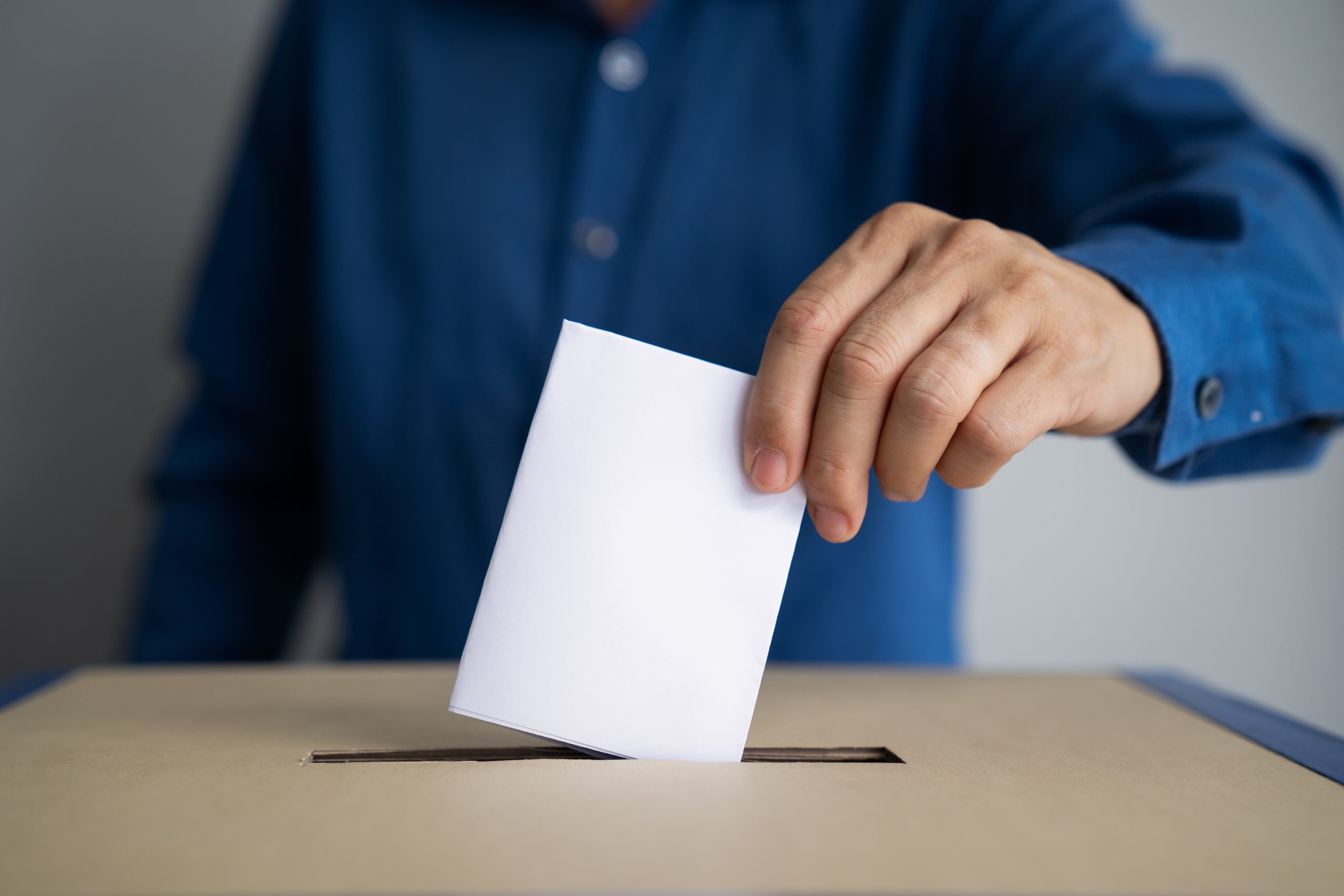 Au nom du vote : pour la sincerite du scrutin